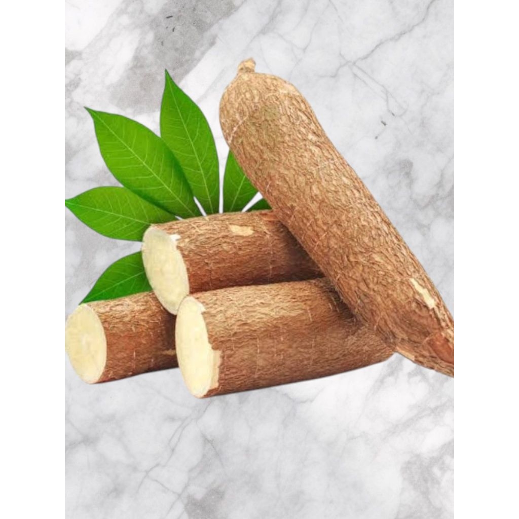 

singkong mentah 1 kg ( fres kebun sendiri )