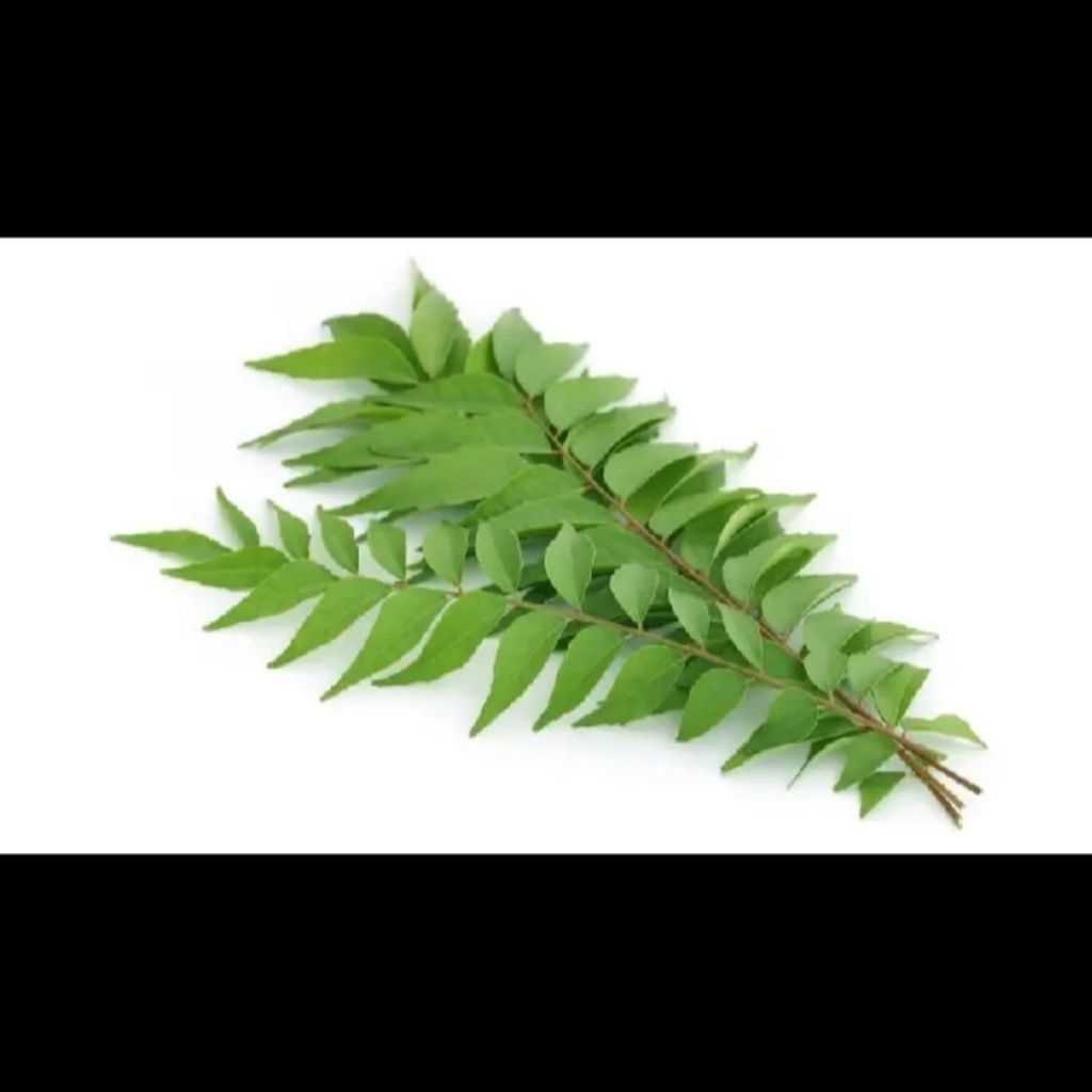 

Daun Kari Segar Organik