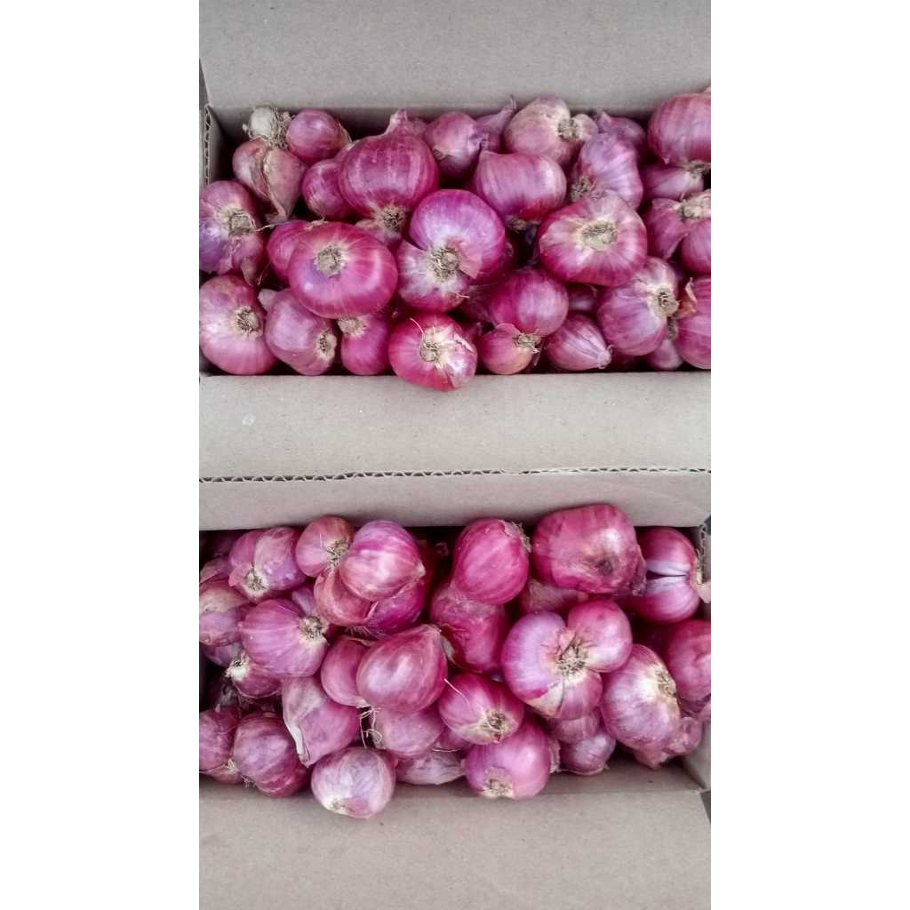 

bawang merah kering (500gr dan 1000gr)asli dari petani blitar