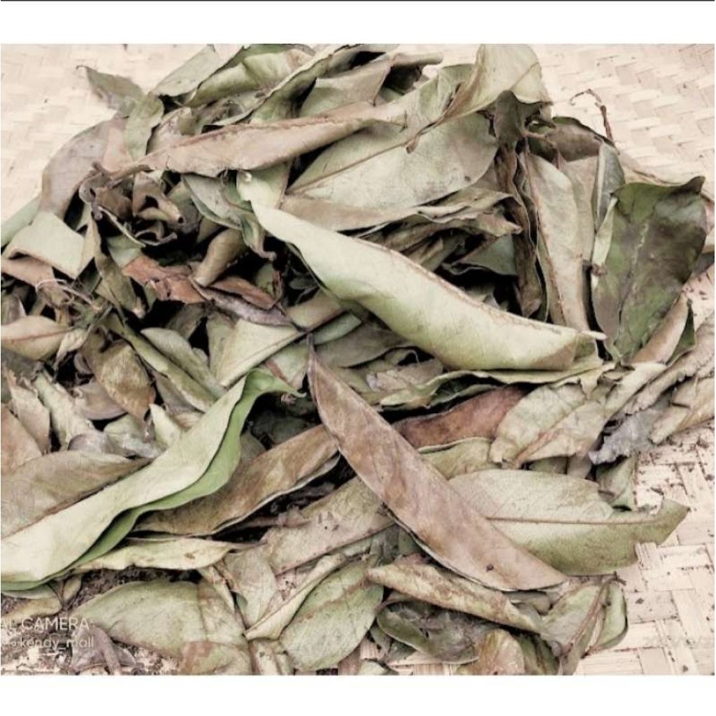 

daun sirsak kering 500g