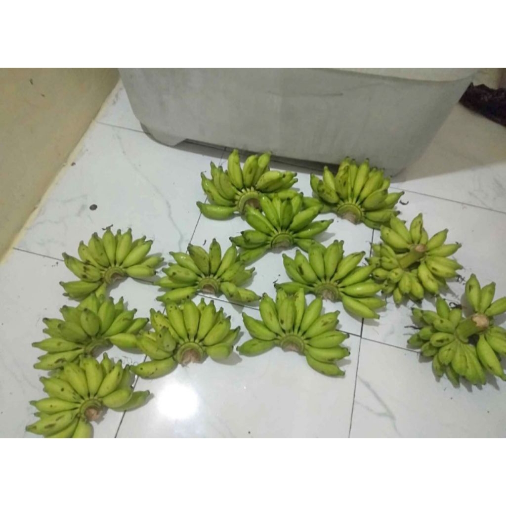 

1 Kg Pisang Putri Fresh Asli Lereng Muria