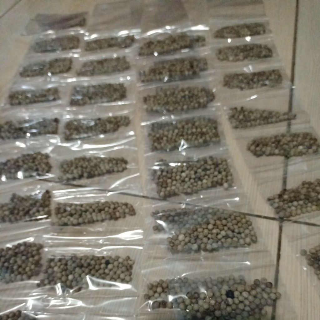 

Bumbu rentengan merica isi 10 pcs