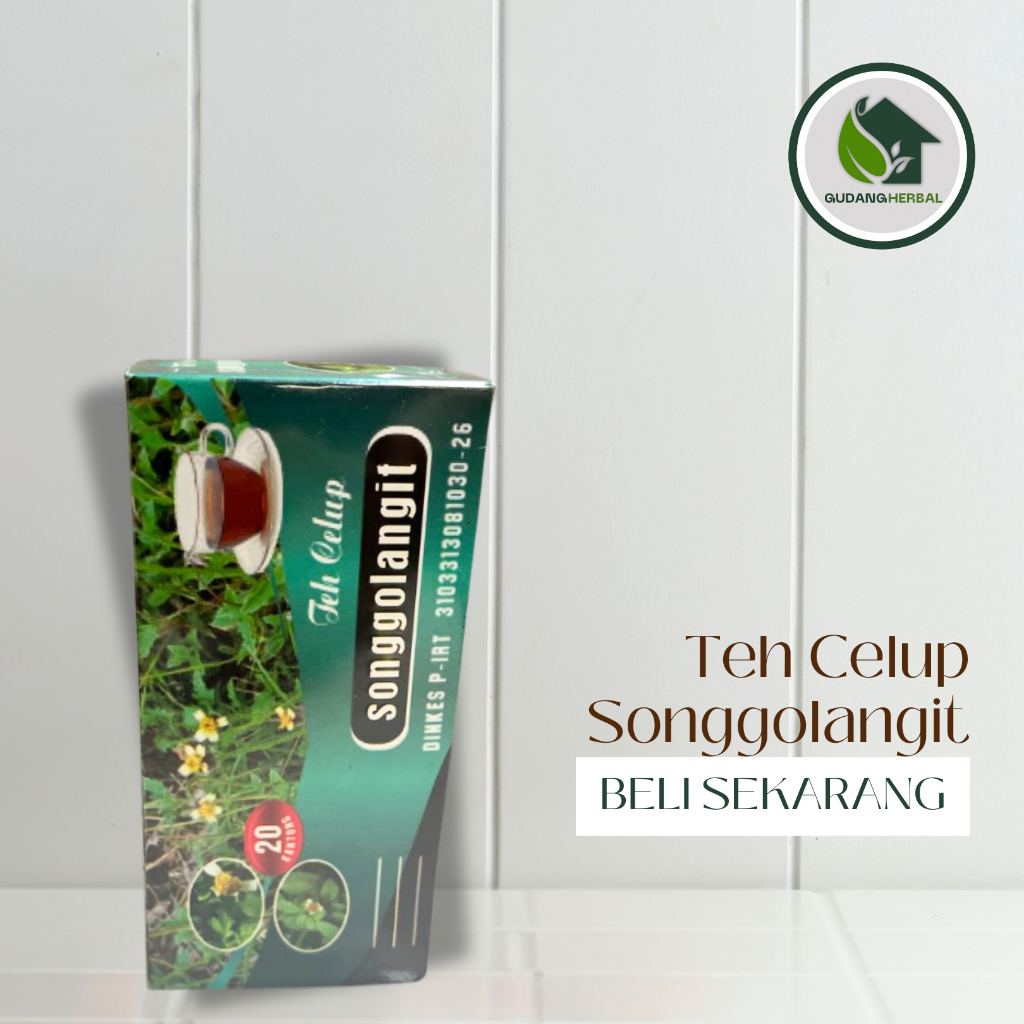 

Teh Celup Herbal Songgolangit Original Nyeri Sendi Asam Urat. Rematik
