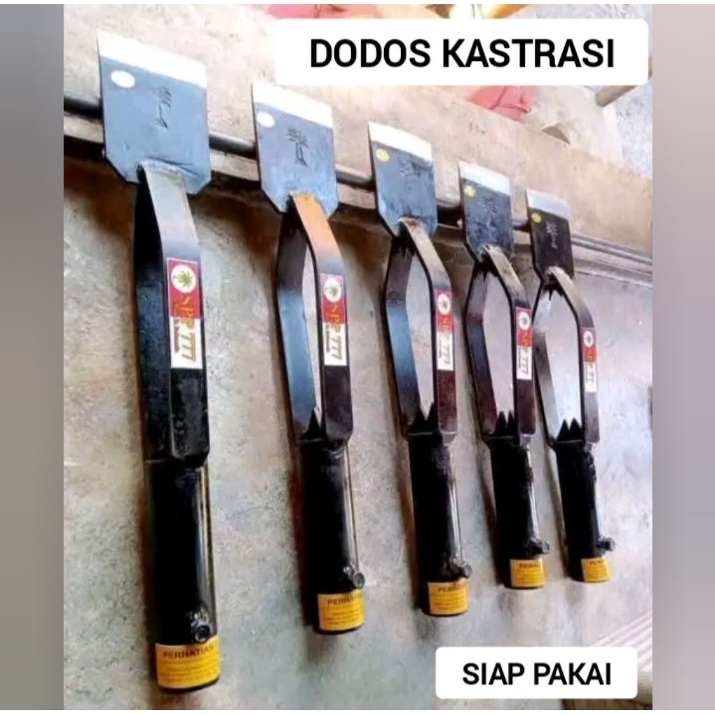 DODOS KASTRASI - SIAP PAKAI TANPA ASAH