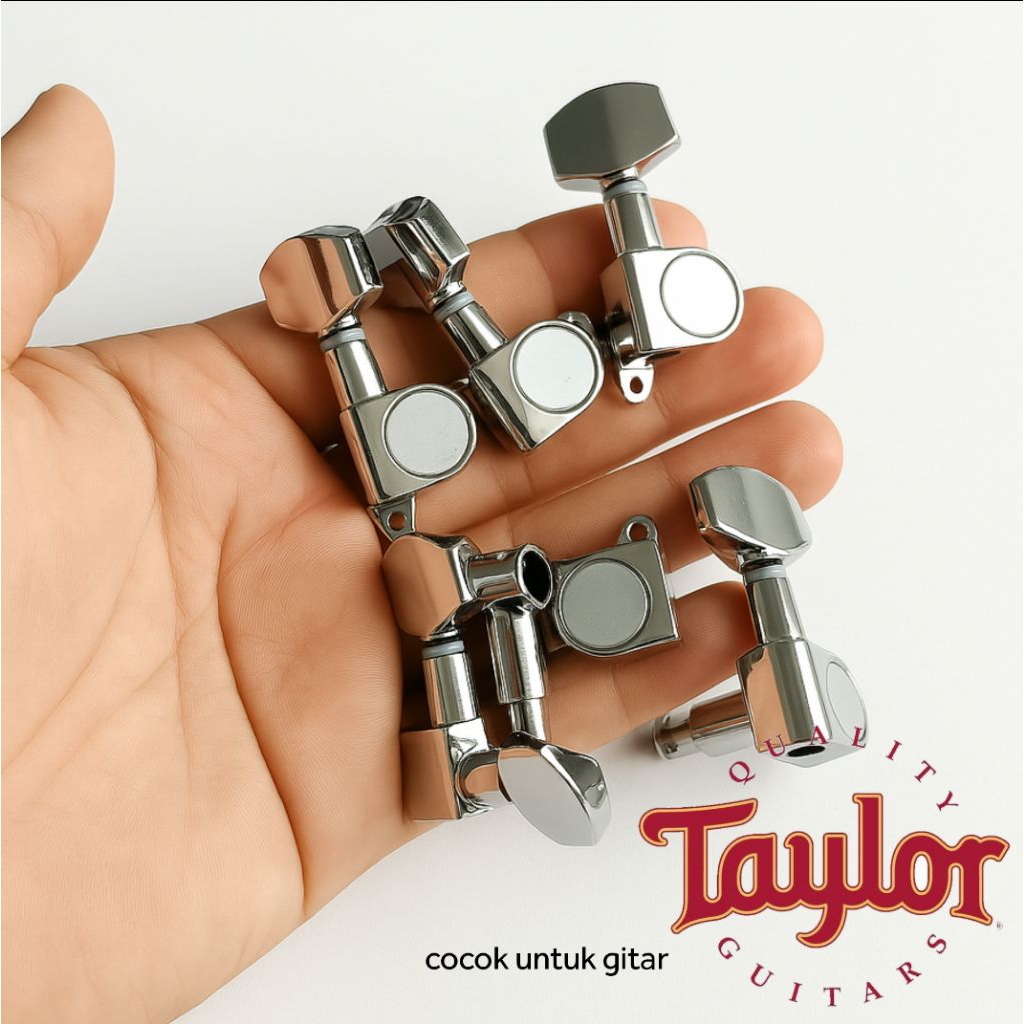 Dryer Gitar Grover Taylor / Grover Gitar Taylor / Dryer Gitar Taylor / Puteran Gitar Taylor