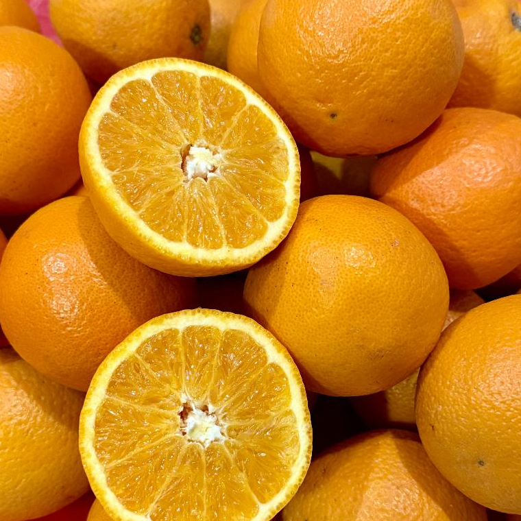 Jeruk Sunkist Valencia Fresh Import 3kg