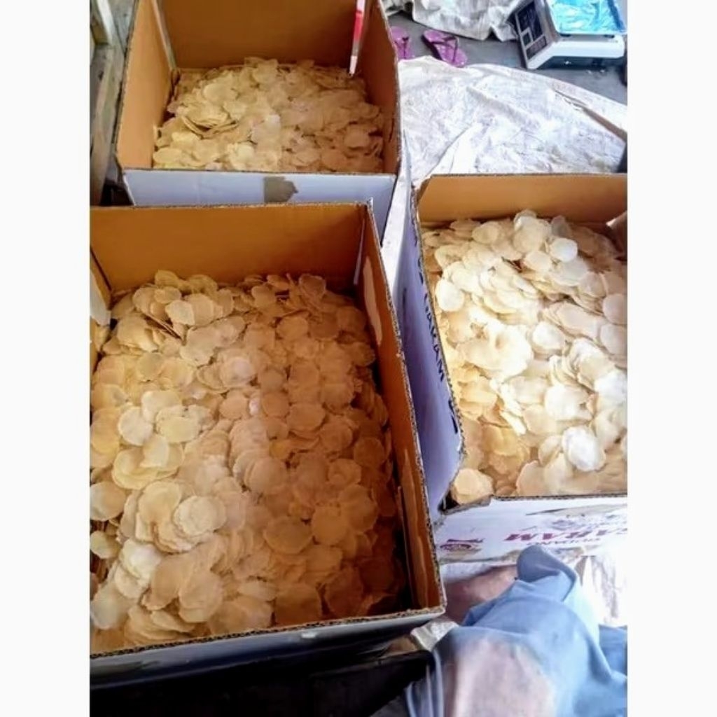 

EMPING MELINJO LIMPUNG AGAK LEBAR LB 1kg