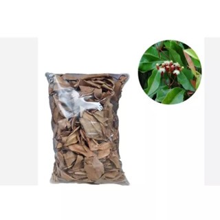 

DAUN CENGKEH KERING 1KG, REMPAH DAUN CENGKEH KERING KUALITAS TERBAIK