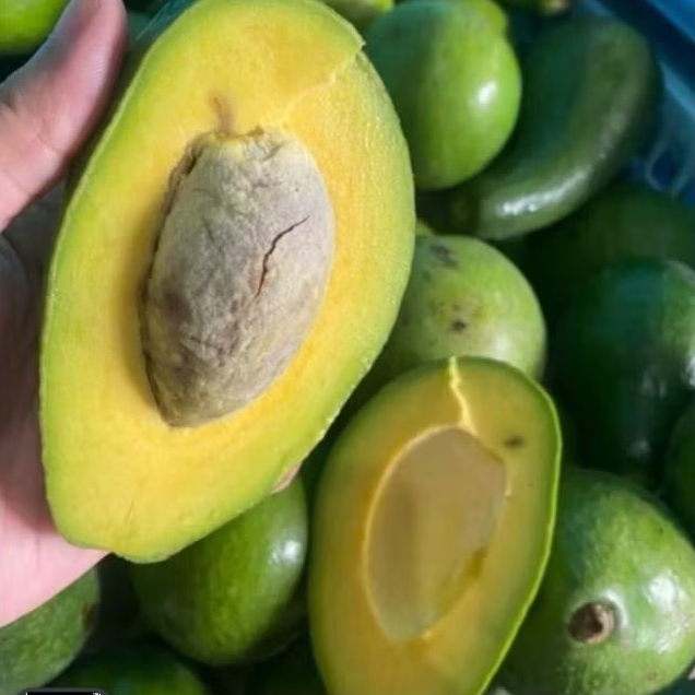 

TERMURAH Alpukat mentega 1 kg isi 5 dan 6 buah BERGARANSI UANG KEMBALI