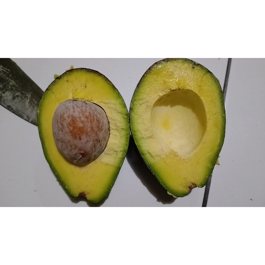 

Alpukat Mentega Lokal isi 56