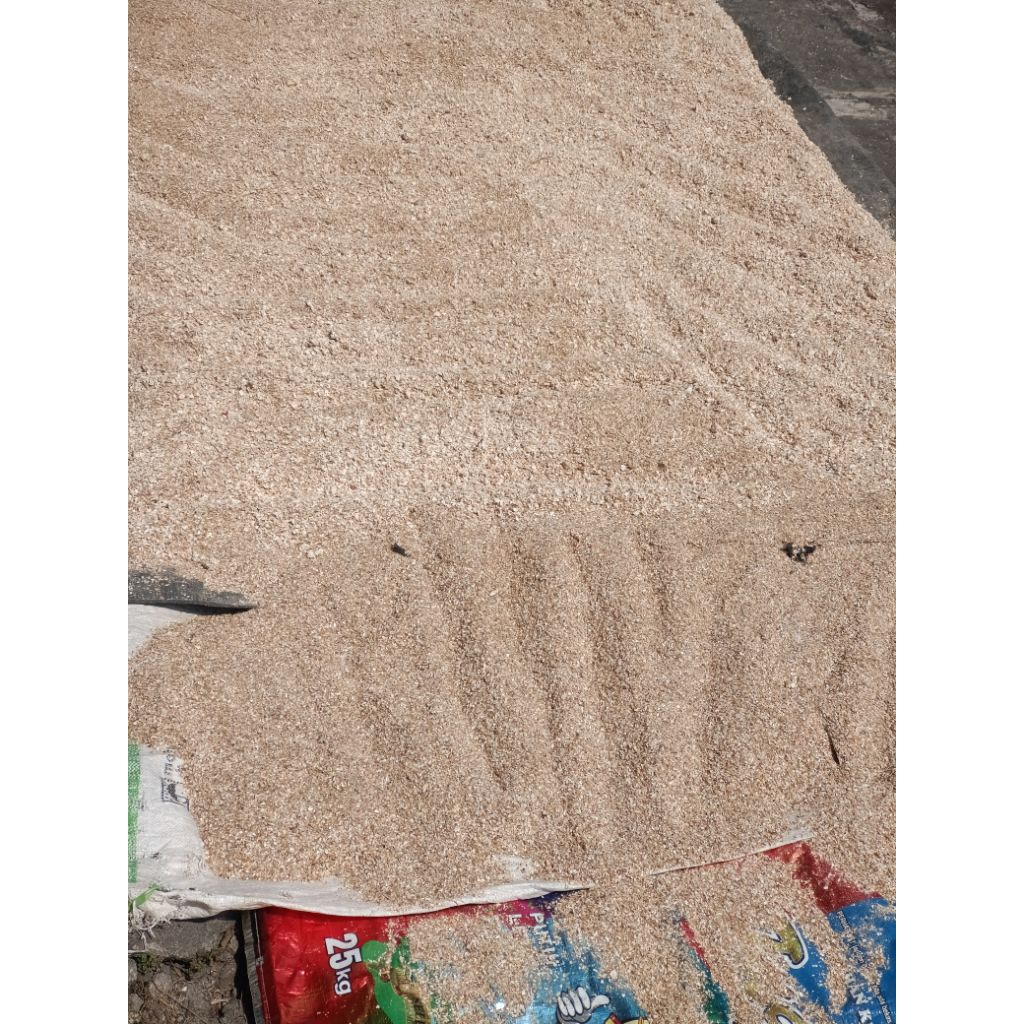 

Rajungan(kepiting) sudah giling