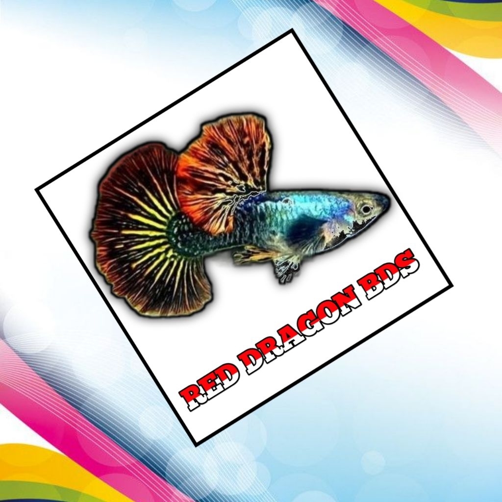 

STIKER KEKINIAN RED DRAGON