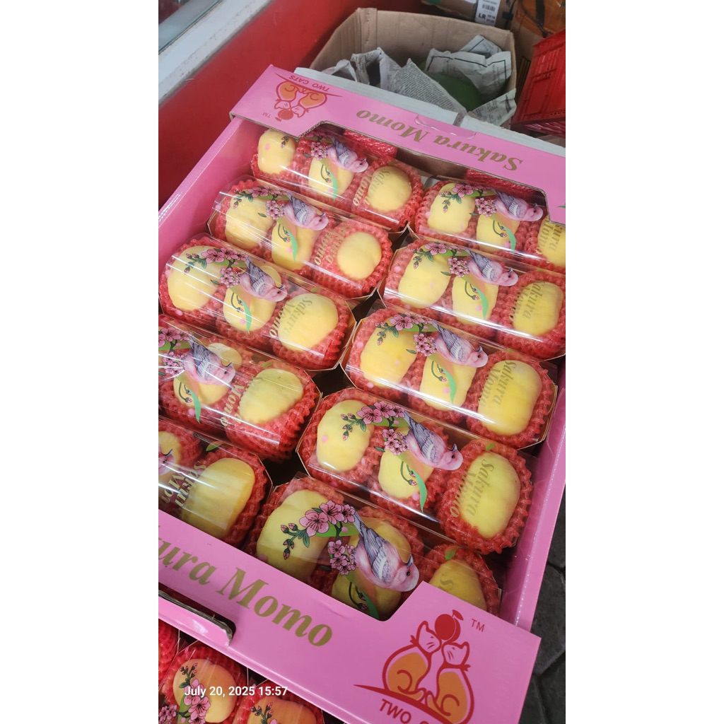 

Peach Donut China Fresh 10pack | Box