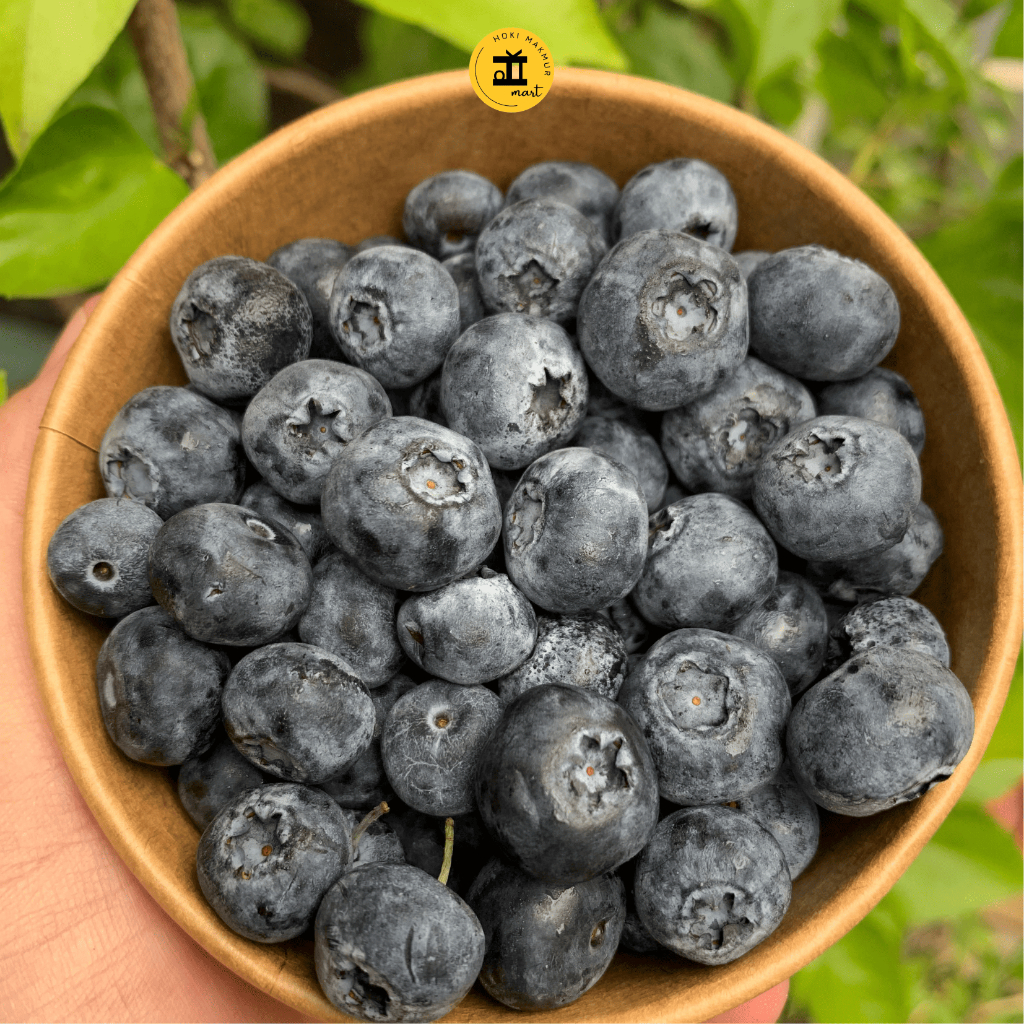 

Blueberry Cup 125 Gr | Blueberry 125 Gr | Blueberry Fresh 125 Gram