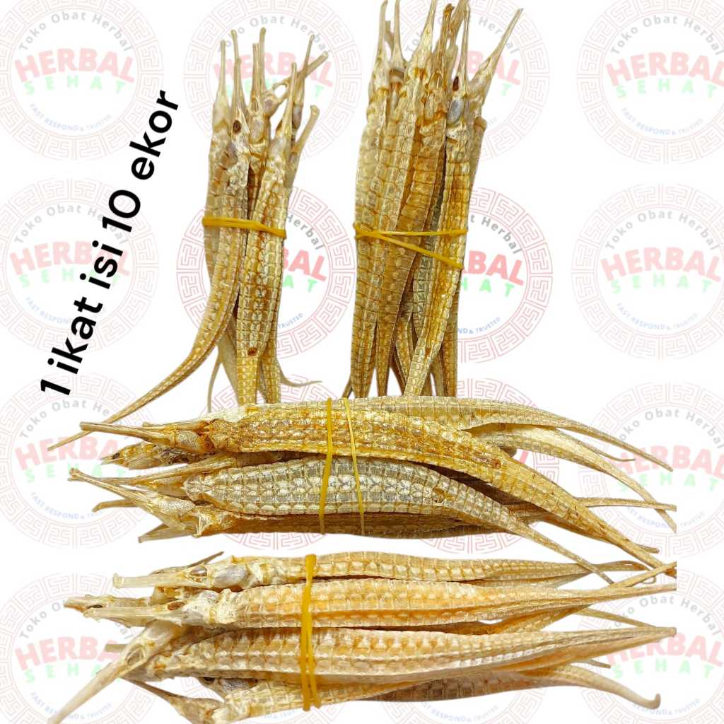 

1 Ikat 10 ekor - Hai Long Naga Laut Kering - Hai Lung Super - Hailong / Hailung - Syngnathus Acus