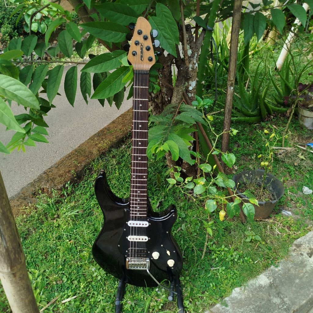 gitar original updown ( peavey predator plus )