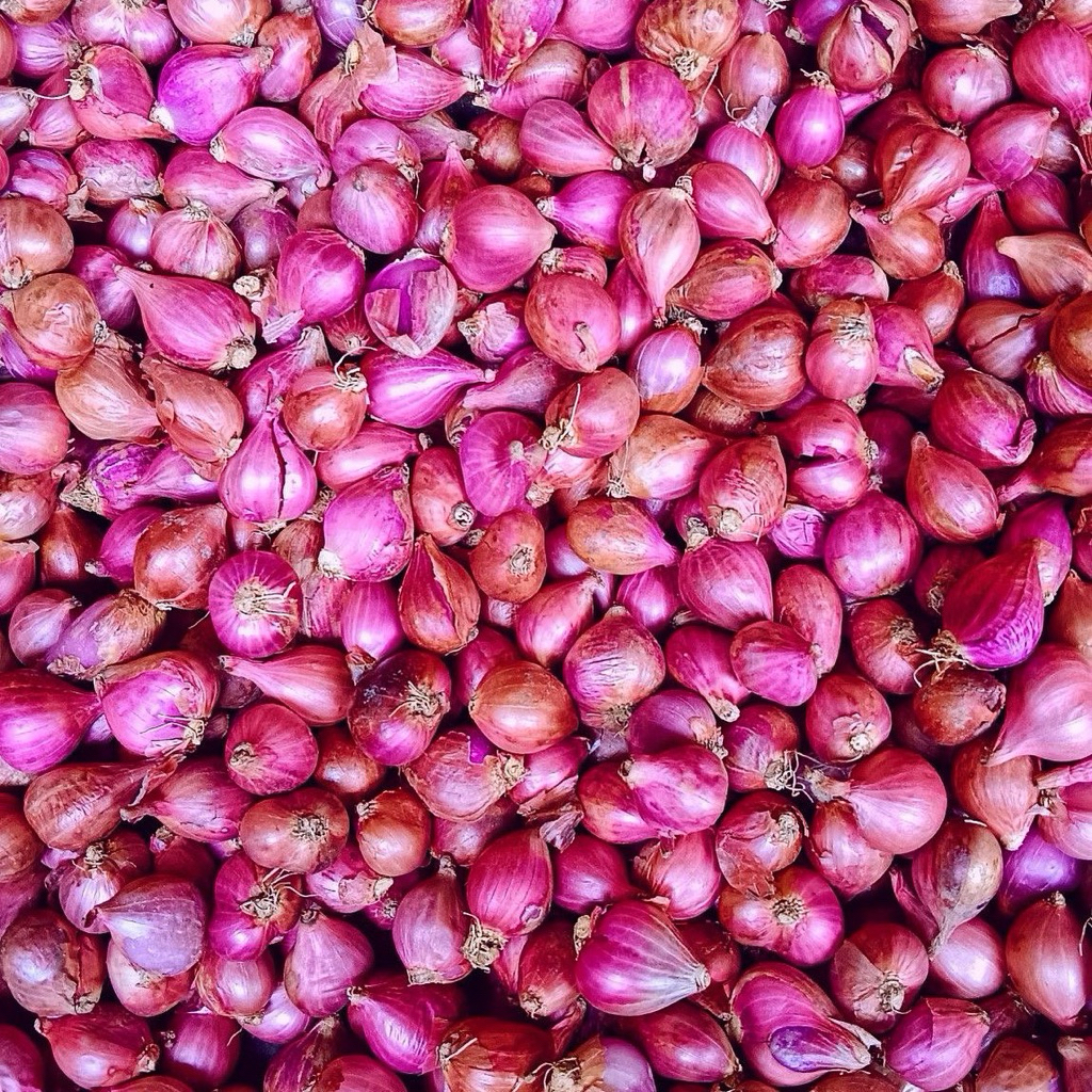 

Bawang Merah Kualitas Premium – Siap Masak