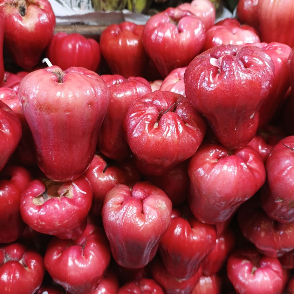 

Jambu King Rose 1 kg