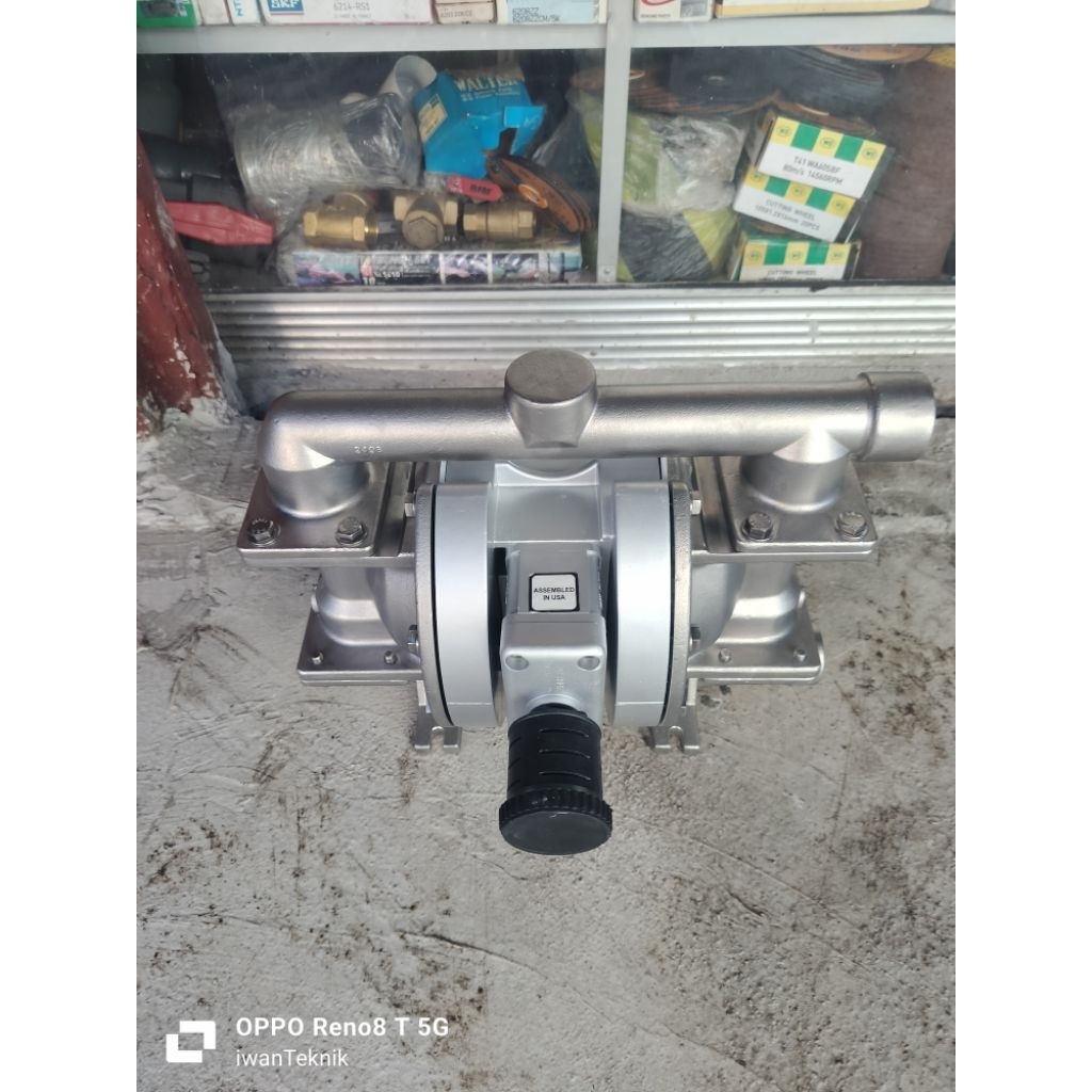 wilden pump 1 inch stenlis dabel teflon