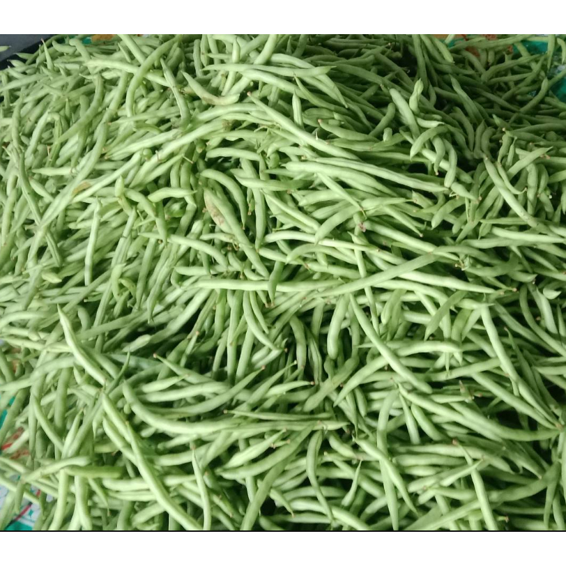 

1 kg Buncis Segar / Sayuran Kacang Buncis