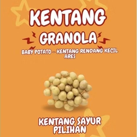 

TERLARIS Kentang Rendang Kecil Baby Potato Ares