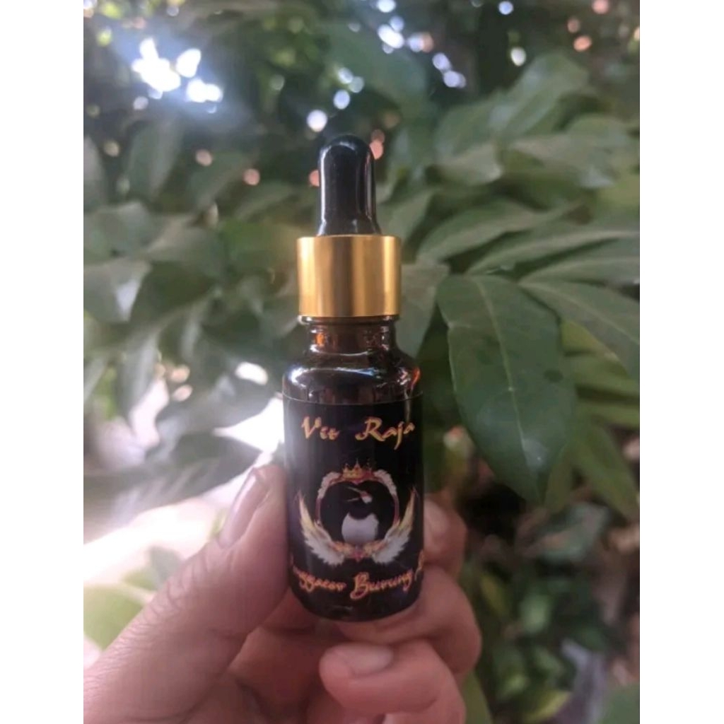 vitamin penggacor burung jalak suren