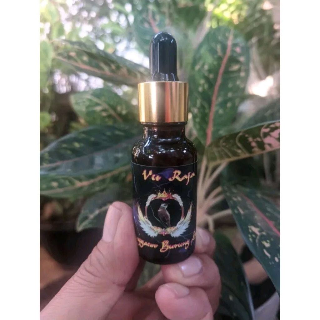 vitamin penggacor burung trucukan