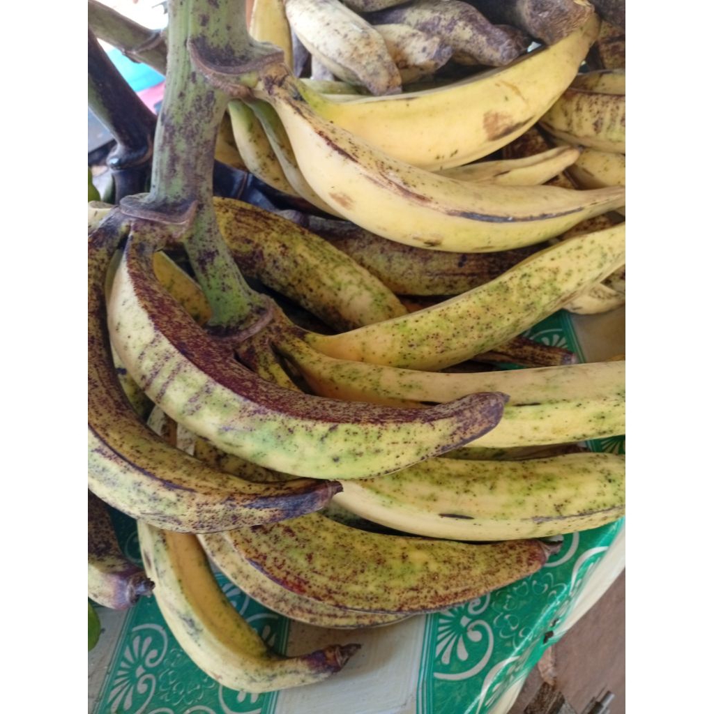 

Pisang tanduk murah asli kuning harga/5 biji