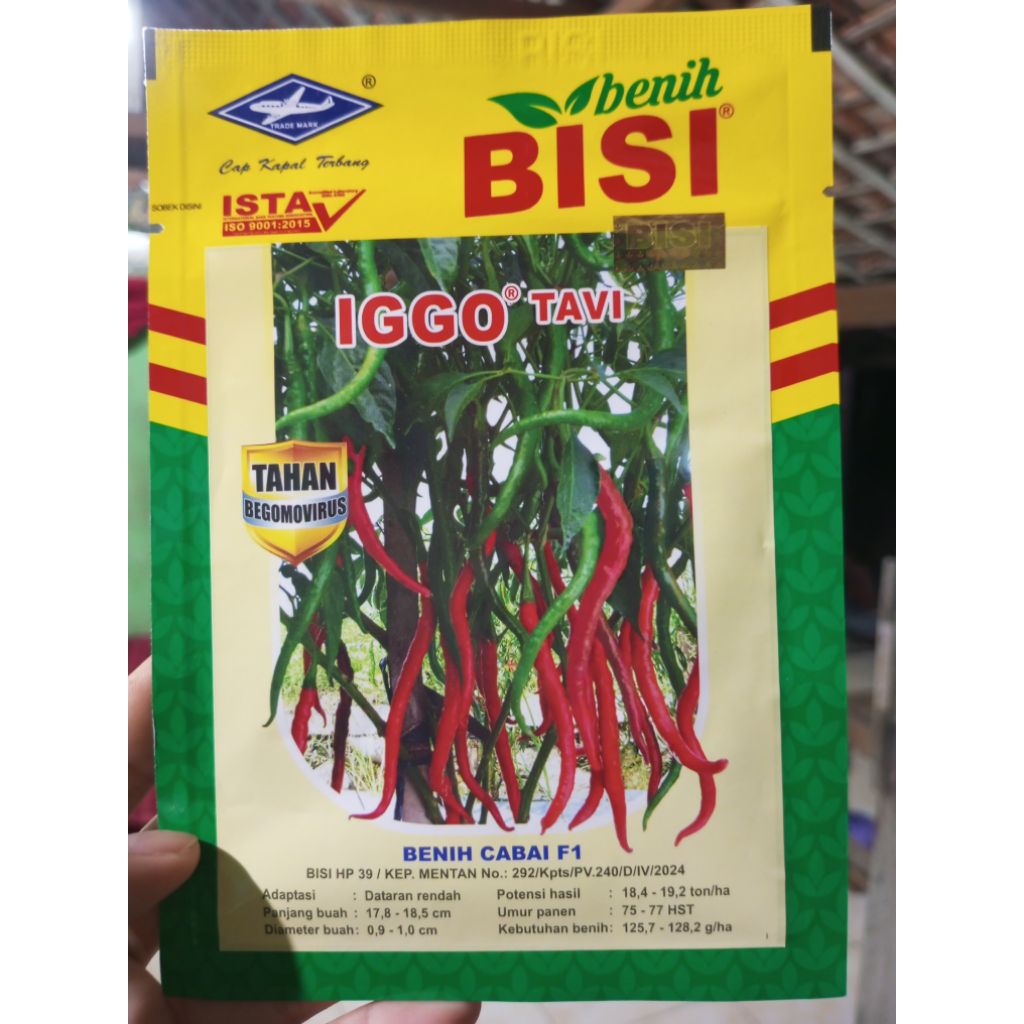 Benih Cabai IGGO tavi 10 gr