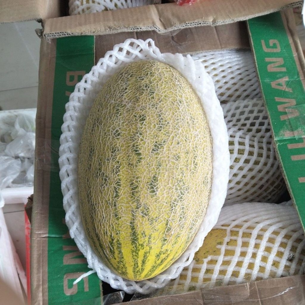 

Melon Hami King RRC import Garing & Full manis 1Kg