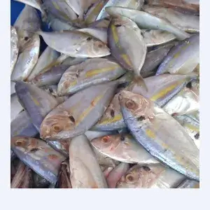 

Ikan selar 1kg