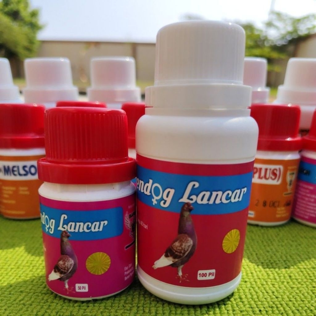 BARON MERPATI Ngendog lancar Suplemen Merpati Petelur Ngendog Lancar Asli Cepat Bertelur