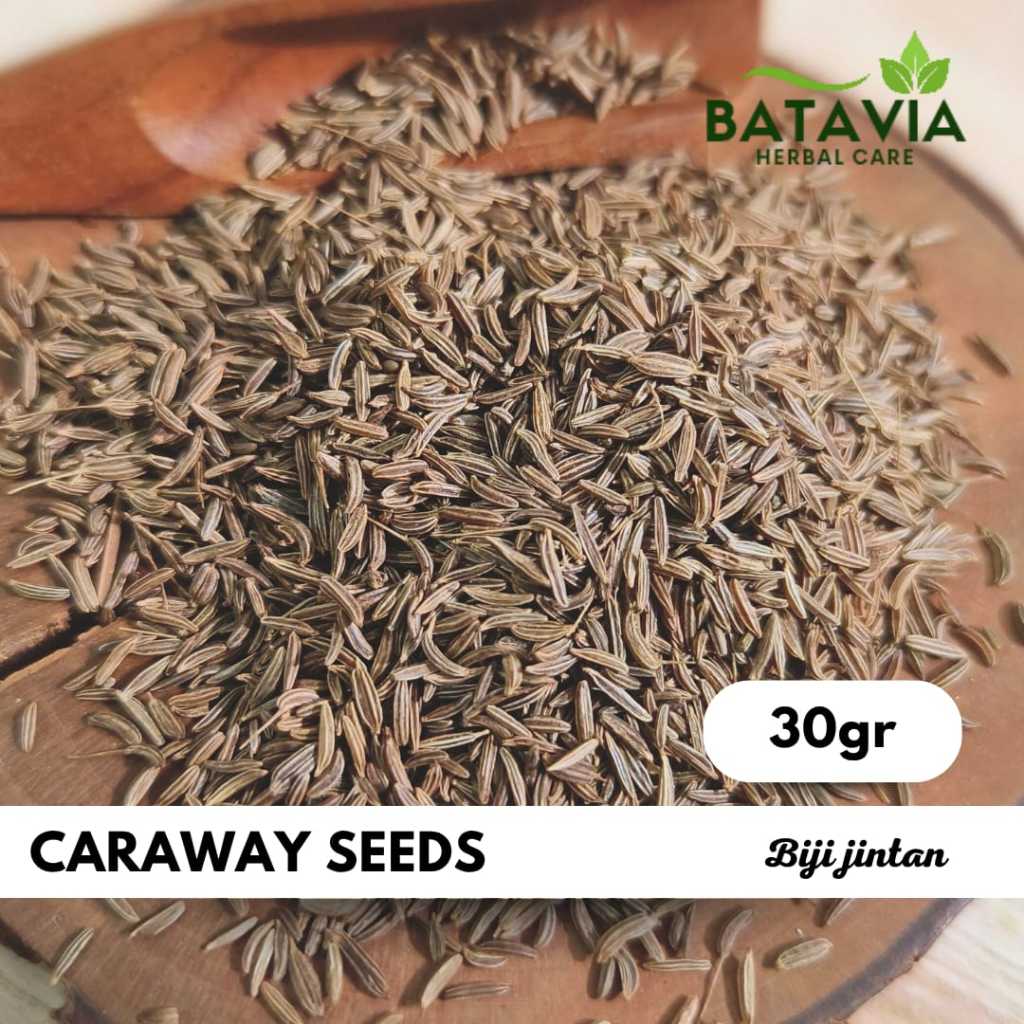 

Caraway Seeds Jintan Utuh Premium Herbs Time
