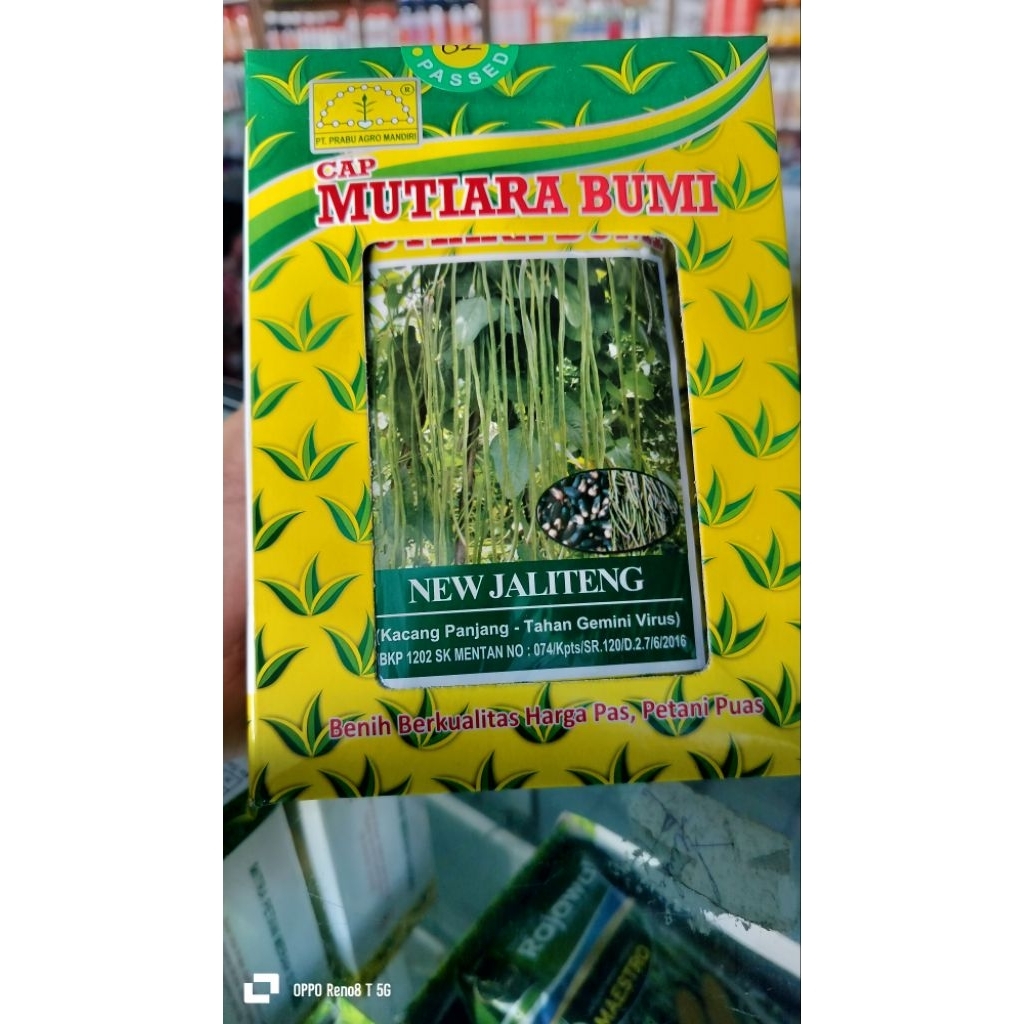 benih unggul kacang panjang new jeliteng benih tahan virus Mutiara bumi
