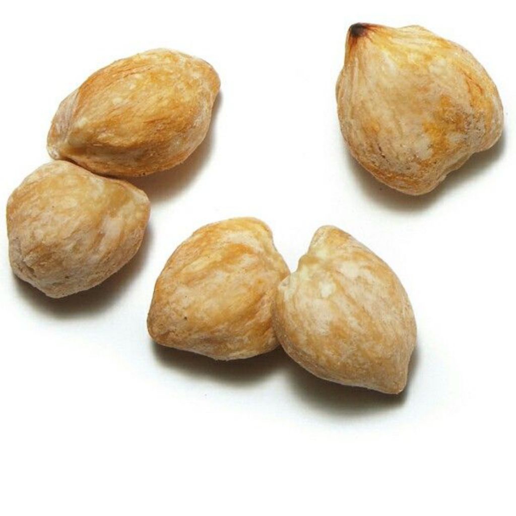 

kemiri 25 g bumbu rempah jogja