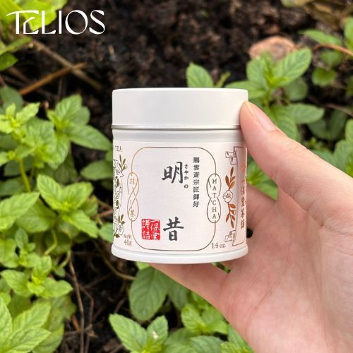 

[READY] IPPODO MATCHA KUON, Ummon-no-mukashi, SAYAKA