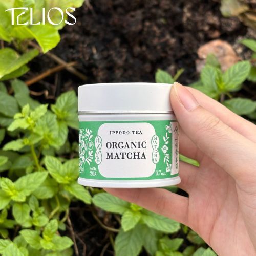 

[READY] IPPODO TEA Organic Matcha 20gr