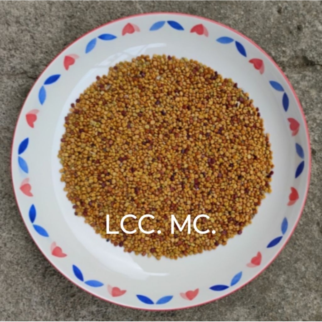 

Biji Kacangan Colopogonium Muconaides ( CM ) 500 Gr.
