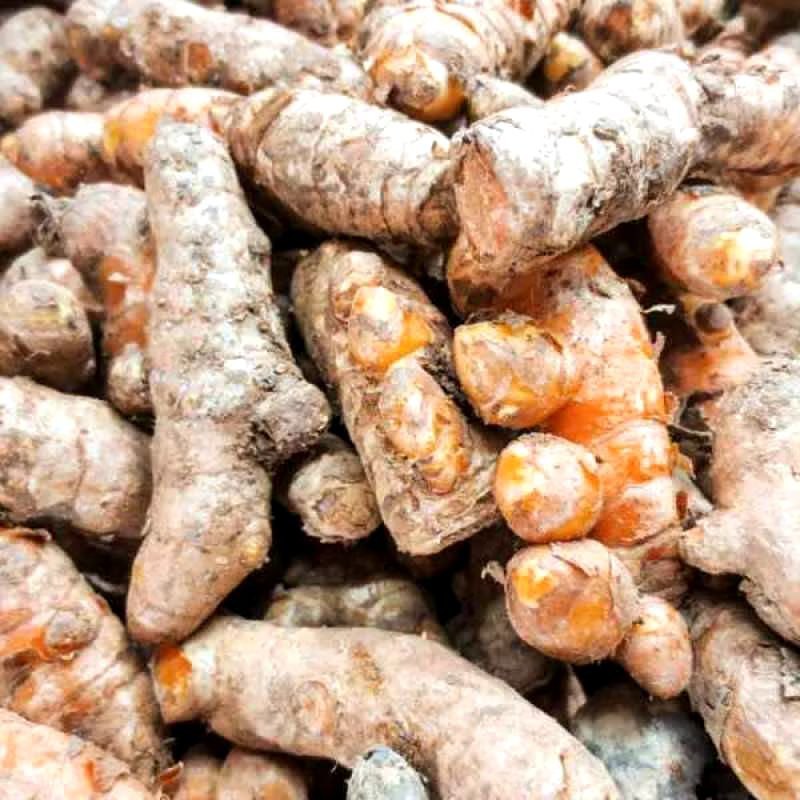 

Promo kunyit/kunir segar bersih 2 kg