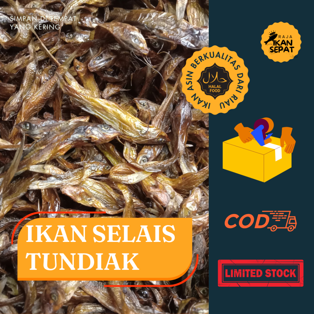

Ikan Asap Salai Tundiak duri Riau