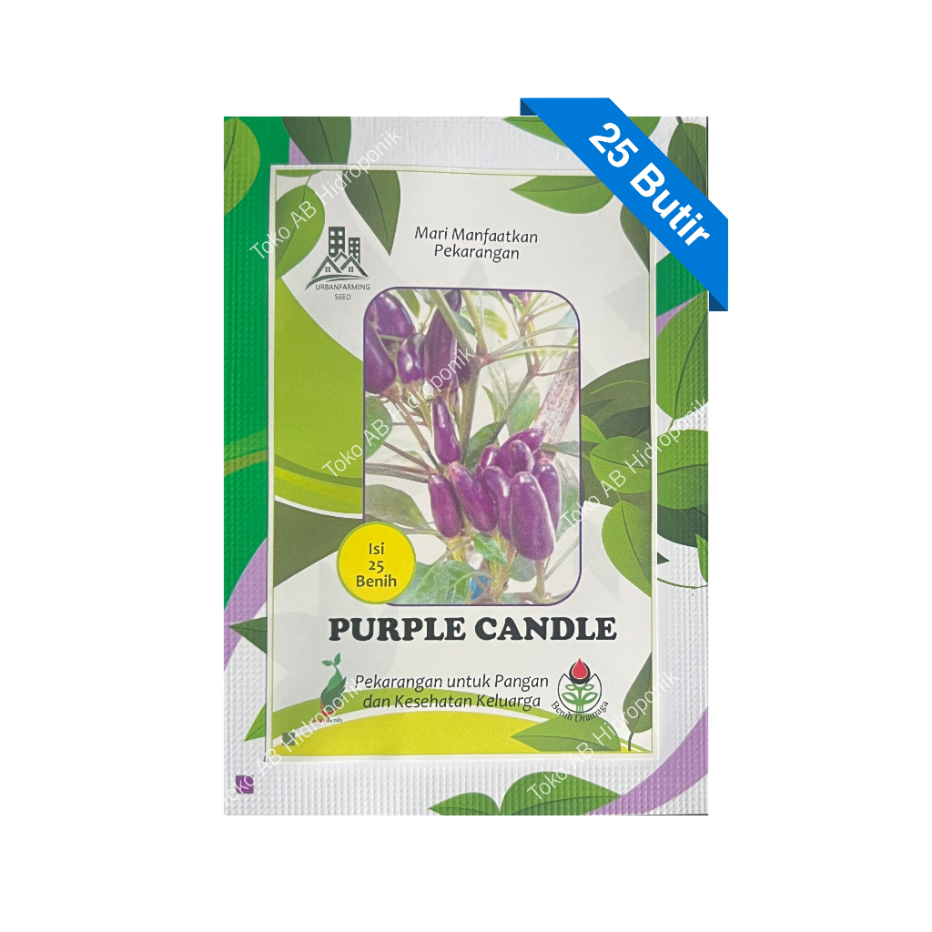25 - Butir Benih Cabai Hias Ungu Cabe Unik Purple Candle Light Benih IPB