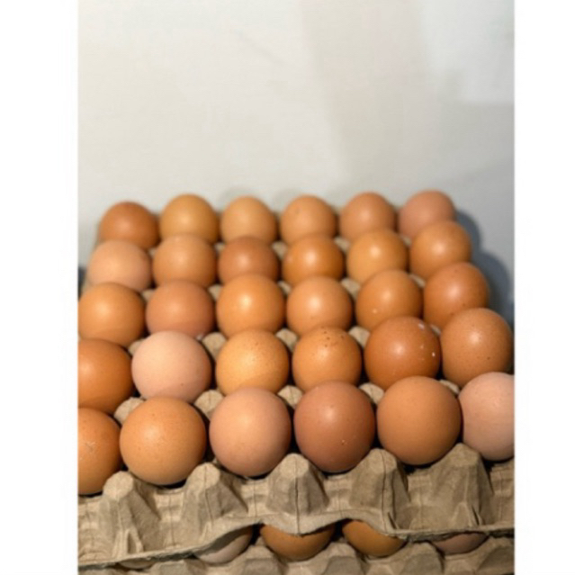 

15 Pcs Telur Ayam Eropa Besar