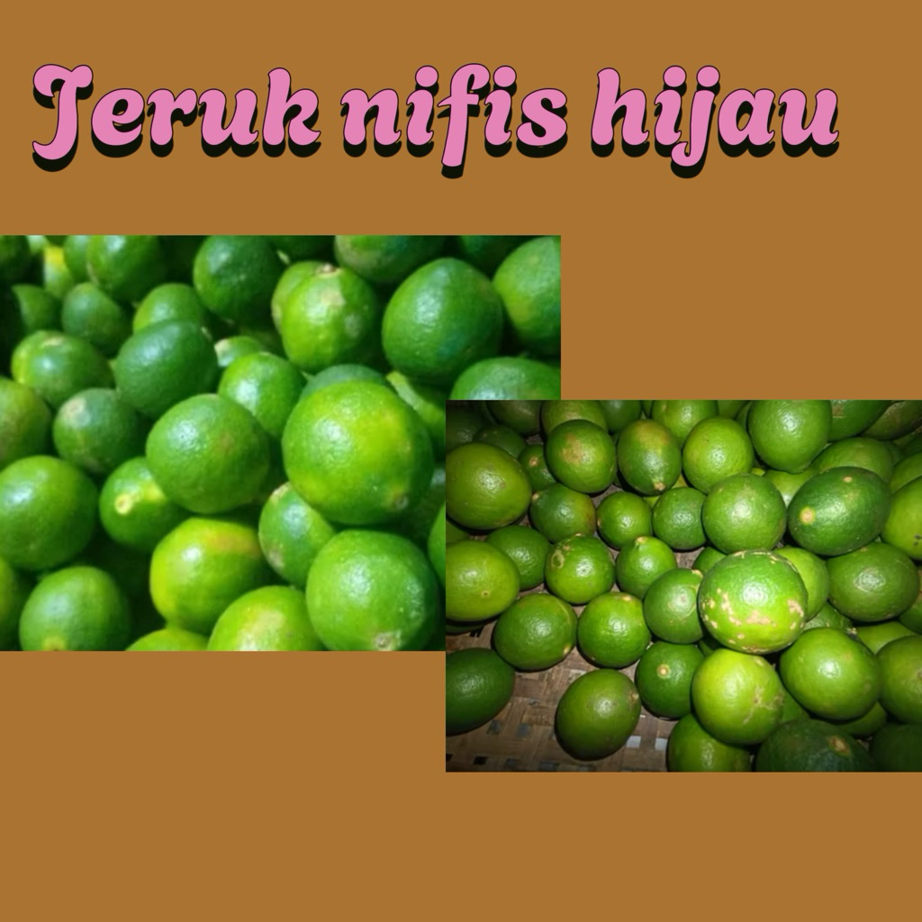 

JERUK NIPIS HIJAU SEGAR 1 kg