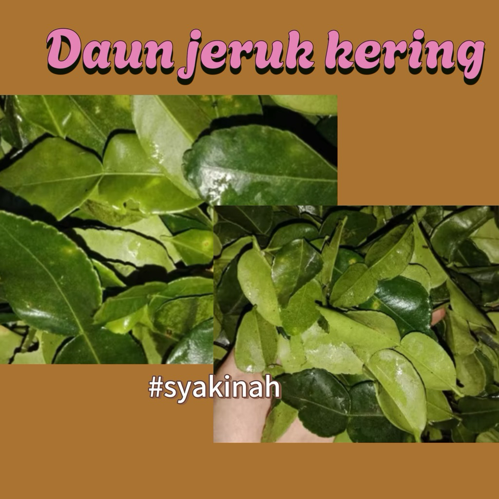 

DAUN JERUK SEGAR KERING 1 kg