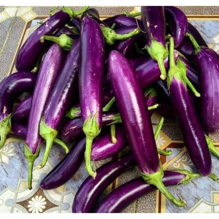 

Terong ungu 500gr - 1Kg | Jbp_Fresh