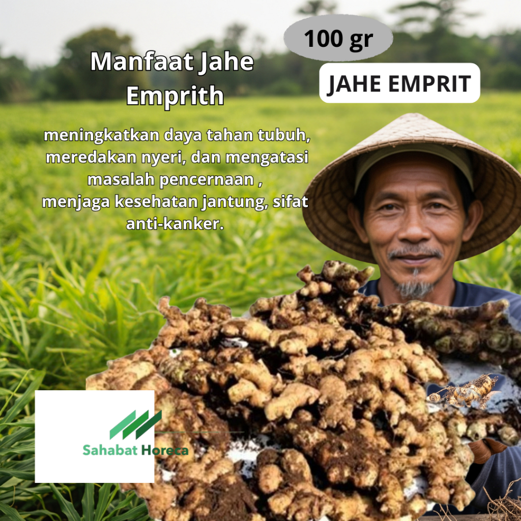 

Jahe Emprit 100gr - 05, Pengiriman Daily, Instat/sameday/nextday lebih untuk lebih segar