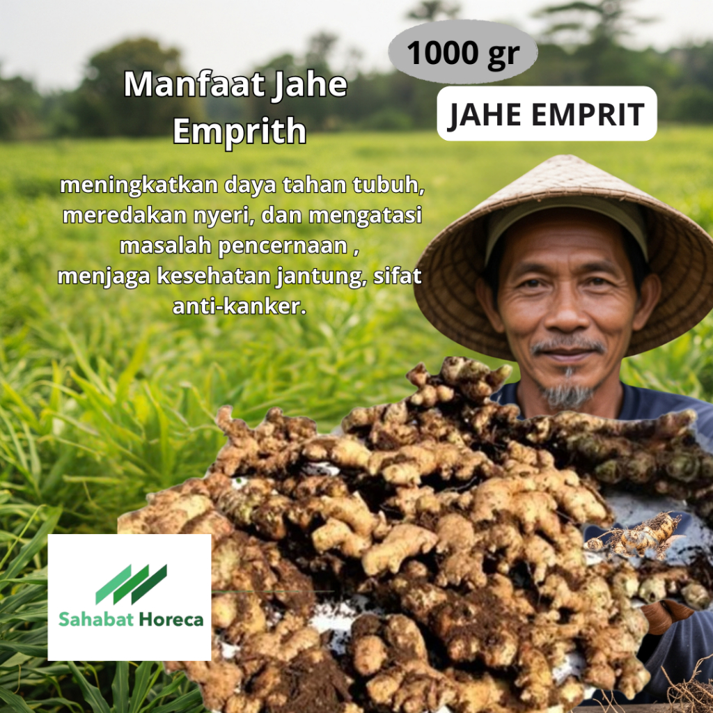 

Jahe Emprit 1kg - 02, Kualitas Premium Cocok Untuk Resto, Pengiriman Intant/Sameday/Nextday untuk lebih fresh