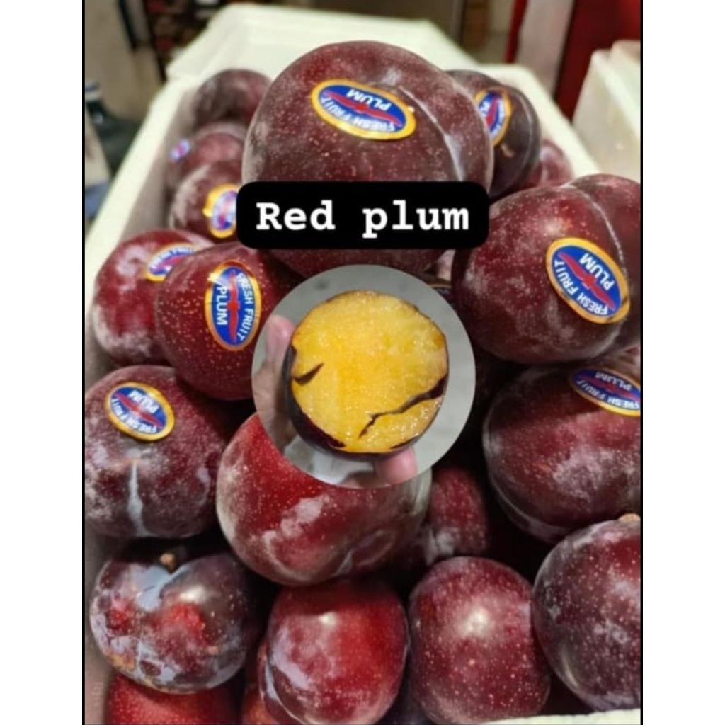 

buah plum fresh 1 kg / buah red plum fresh 1 kg / buah plum 1 kg
