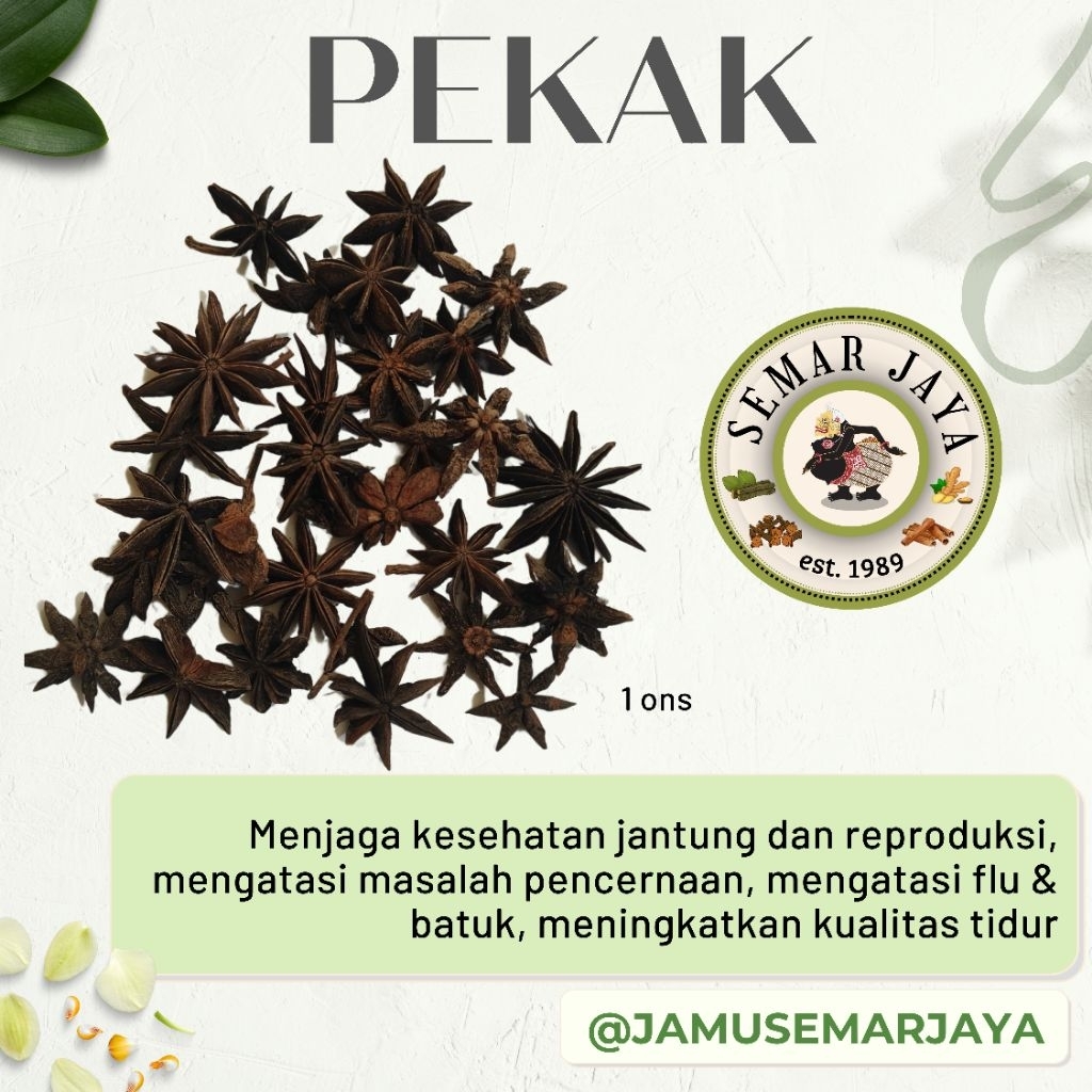 

SEMAR JAYA | PEKAK BUNGA LAWANG (STAR ANISE) KUALITAS TERBAIK, PREMIUM, HERBAL REMPAH ALAMI, TERMURAH