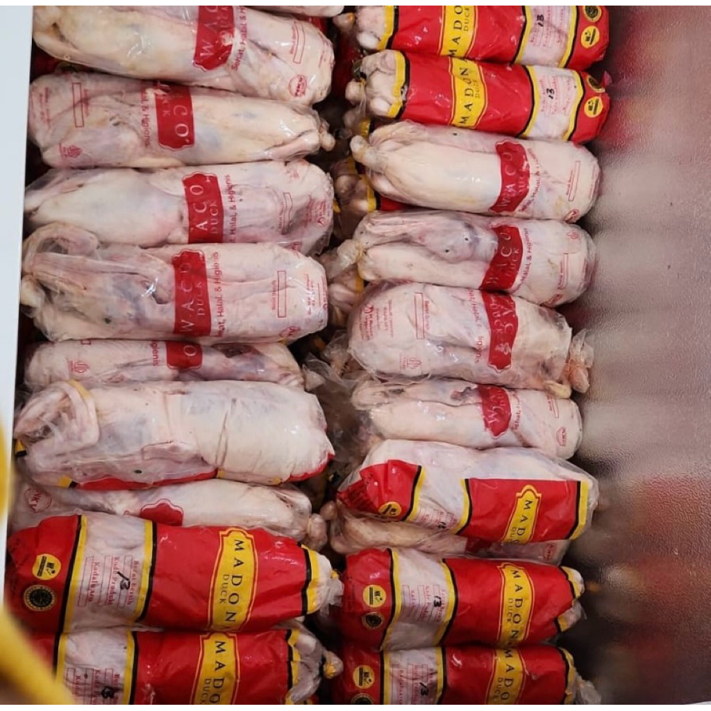 

bebek fresh lokal muda ukuran 1,2